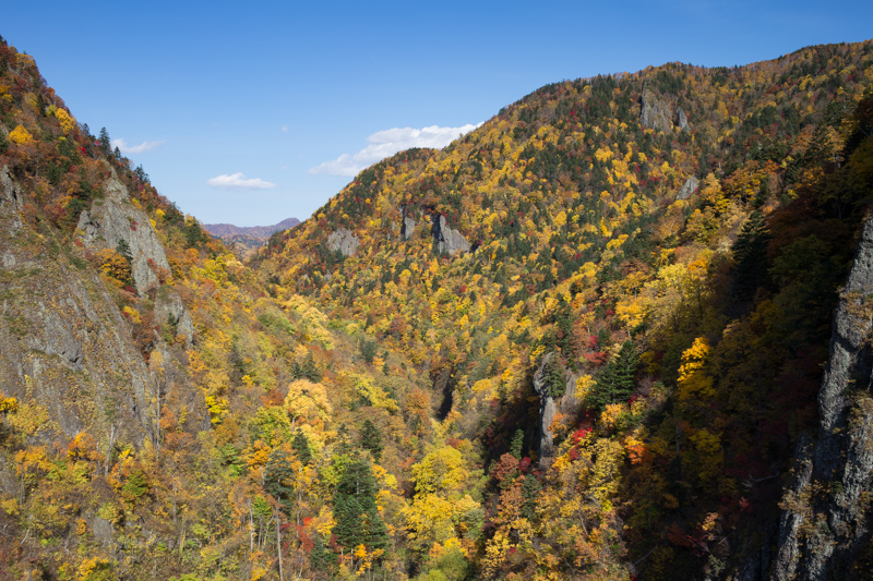 豊平峡ダムの紅葉